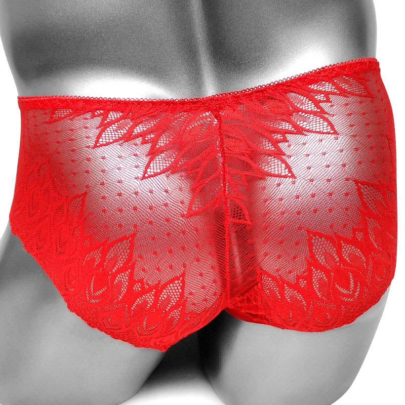 Nevaeh Again Lace Pouch Panties