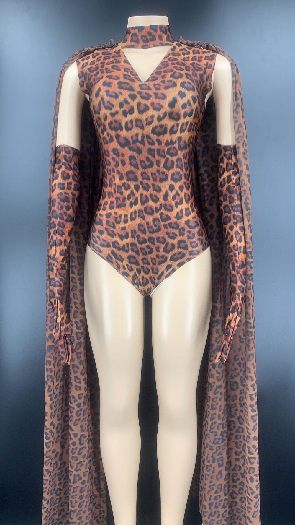 Sue Preme Leopard Print Outfit