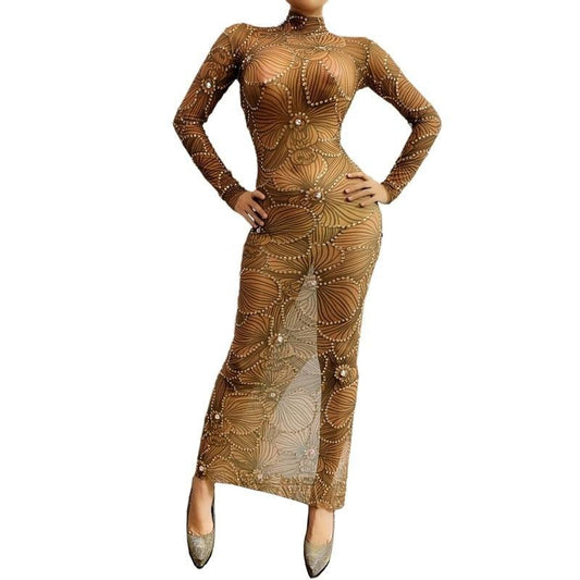 Patty Siyens Transparent Long Dress