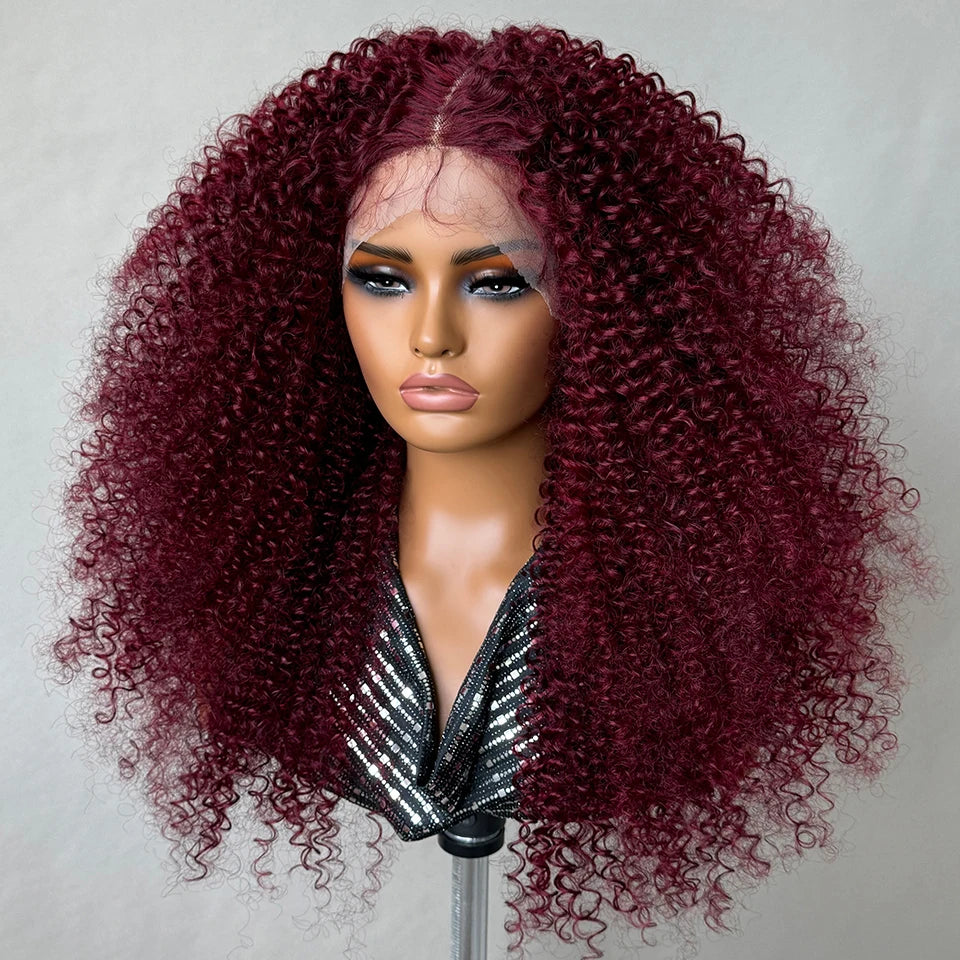 24-Inch Kinky Curly Synthetic Lace Front Wig