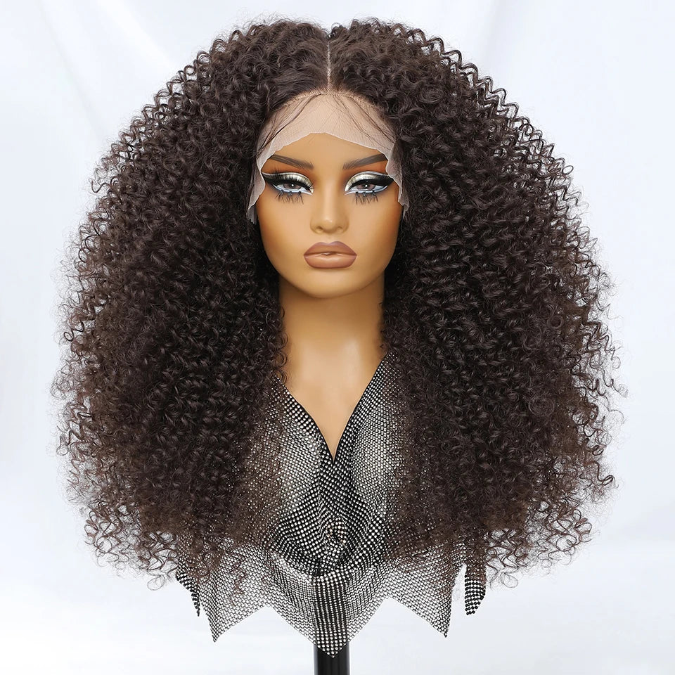 24-Inch Kinky Curly Synthetic Lace Front Wig