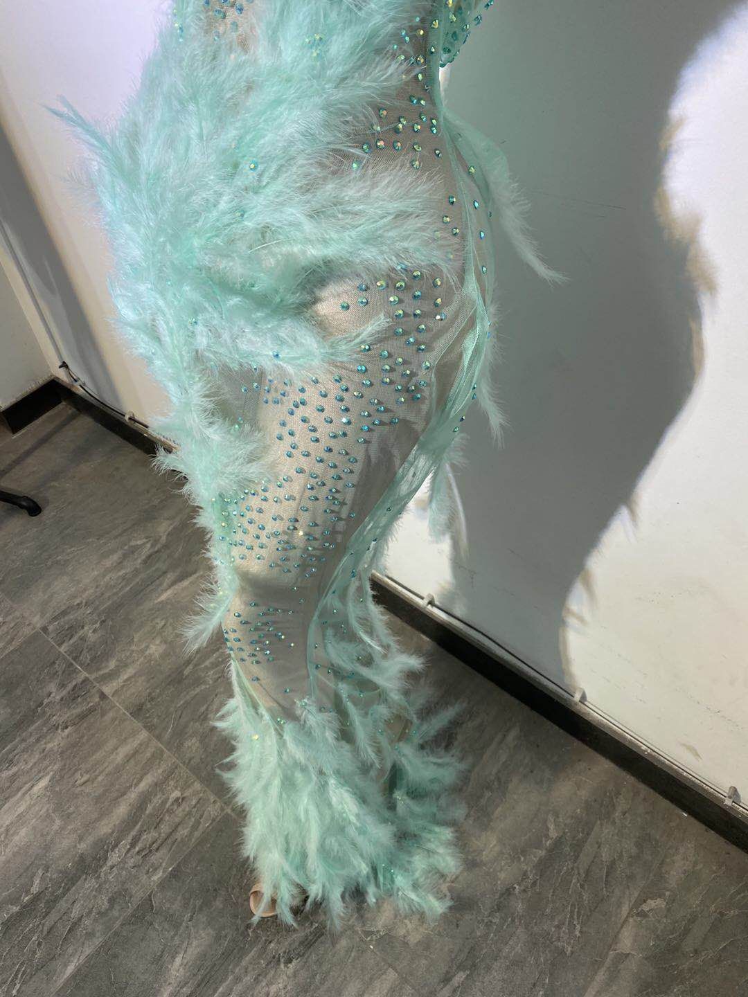Feather Mesh See-Through Dress