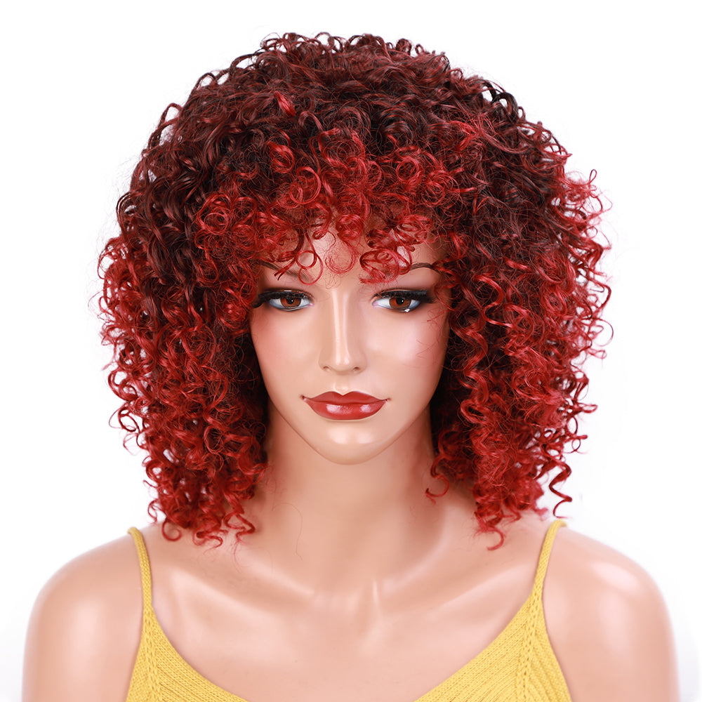 Noë Stalgia Afro Kinky Curly Wig