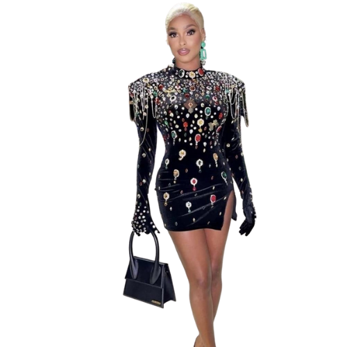 Senna Seer Rhinestone Velvet Dress