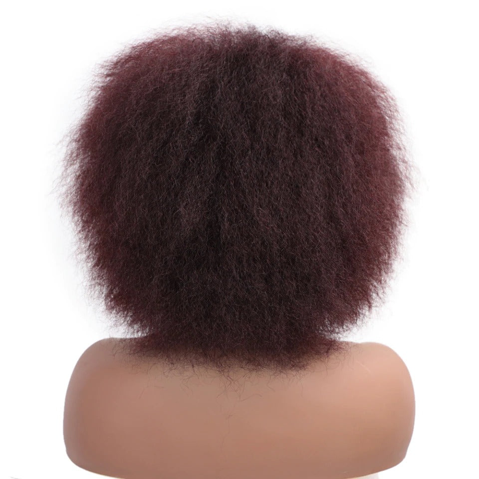 Irma Gination Afro Kinky Curly Wig