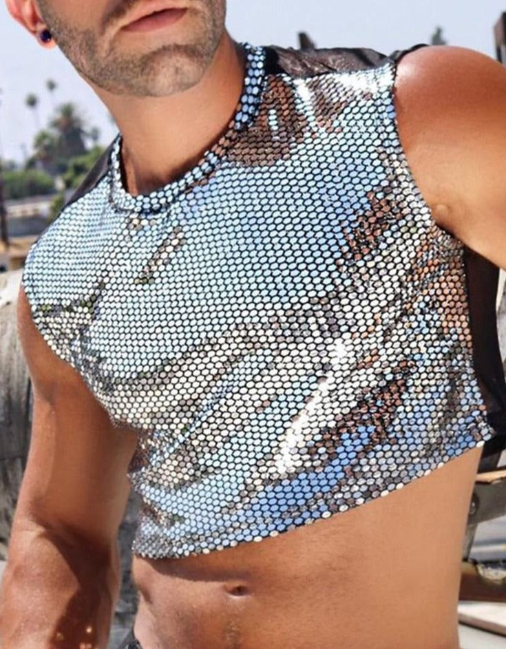 Show Time Shiny See Through Crop Top