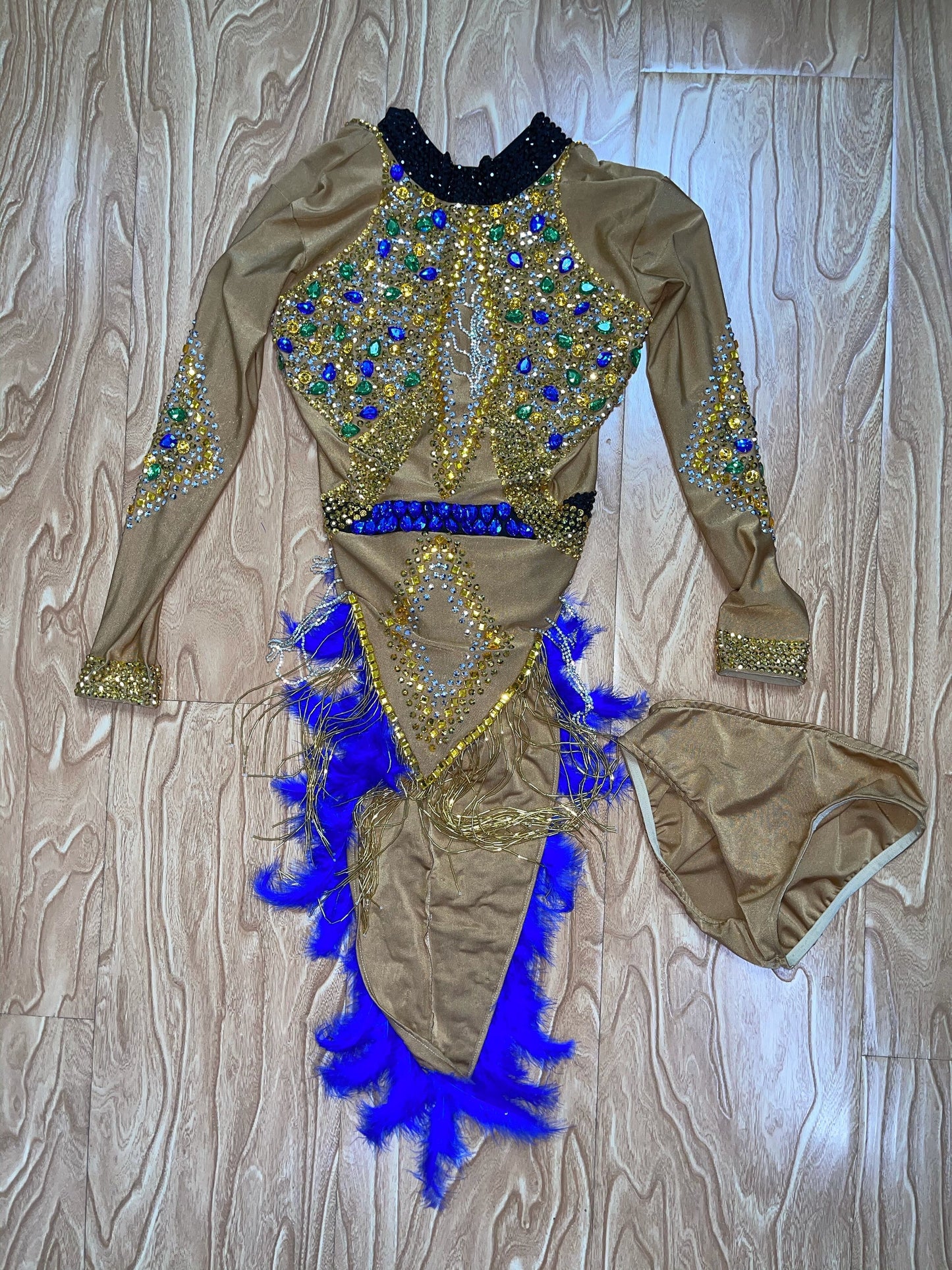 Joye Ryde Feather Dancer Dress