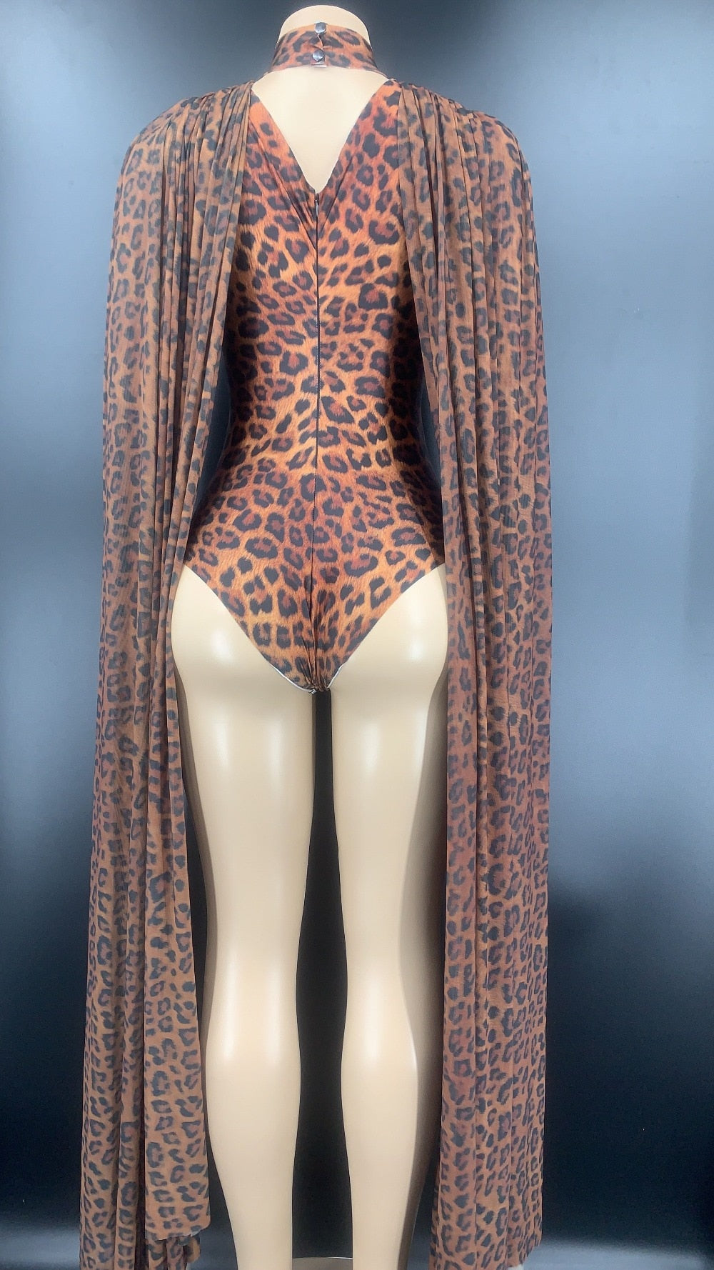 Sue Preme Leopard Print Outfit