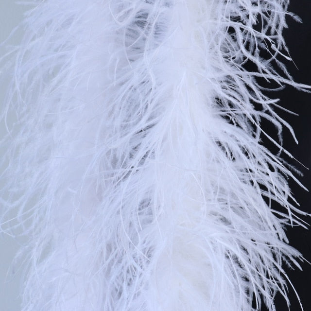 Vanity Fairchild Real Ostrich Feather Boa