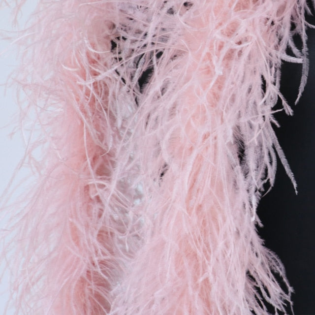 Vanity Fairchild Real Ostrich Feather Boa