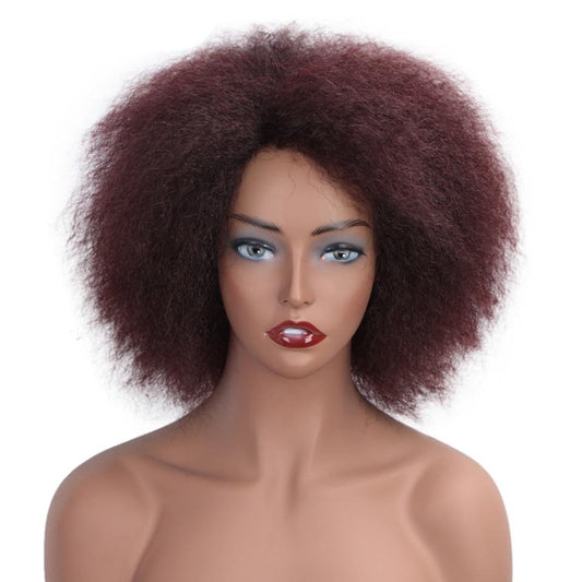 Irma Gination Afro Kinky Curly Wig