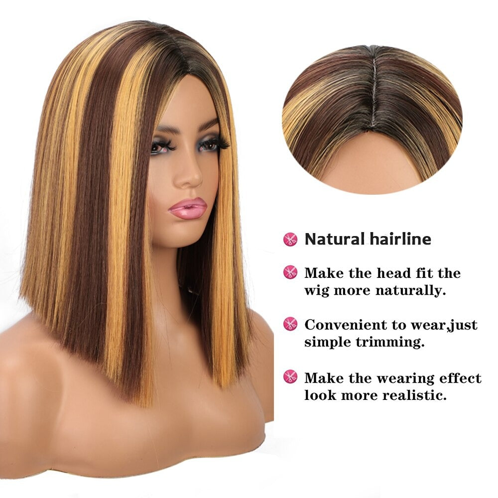 Satty Phection Straight Highlighted Wig